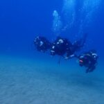 Puerto Del Carmen: Try Scuba Diving From The Beach Overview Of Scuba Diving