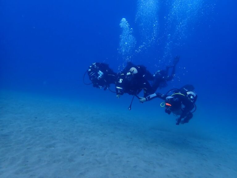 Puerto Del Carmen: Try Scuba Diving From The Beach Overview Of Scuba Diving