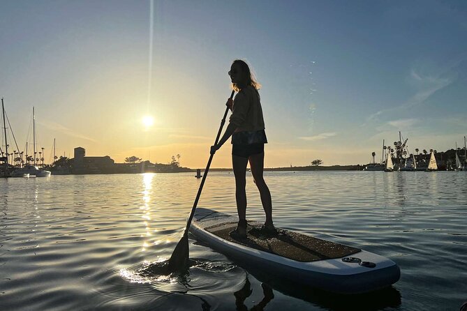 Puerto Plata Cabarete Inflatable Paddle Board/ Kayak Rental - Overview of Services