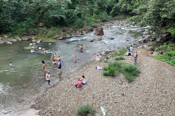 Rainforest River Nature Walk Adventure And Luquillo Beach Guided Nature Walk Highlights