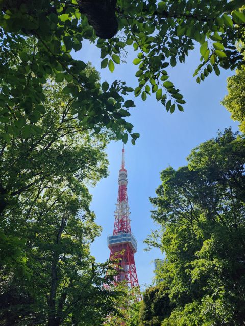 Real Tokyo in One Day With a Local - Experience Overview