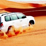 Red Dunes Safari With Bbq Dinner, Falcon And Camel Ride Tour Overview