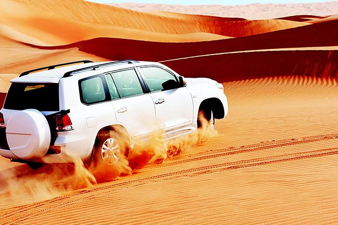 Red Dunes Safari With BBQ Dinner, Falcon and Camel Ride - Tour Overview