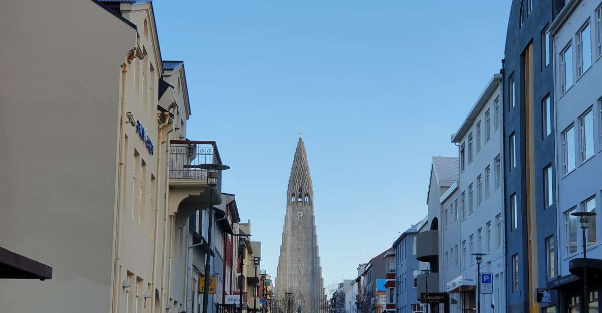 Reykjavik City - Half Day Private Tour - Hallgrimskirkja Church Exploration