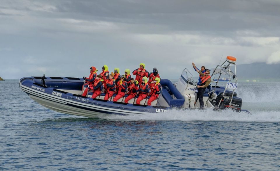 Reykjavik: Premium Whale Watching With Flexible Ticket - Tour Overview