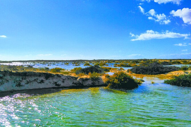 Ria Formosa Private 6 Hours Guided Tour in Classic Boat, Olhão. - Tour Overview and Details