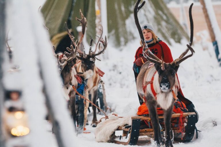 Rovaniemi: Apukka Reindeer Sleigh Ride At Night Thermal Gear And Equipment