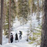 Rovaniemi: Frozen Waterfalls Of Korouoma Canyon Hike Tour Details