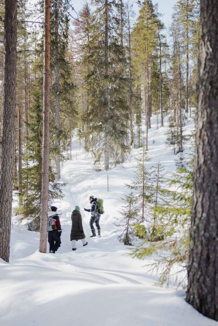 Rovaniemi: Frozen Waterfalls of Korouoma Canyon Hike - Tour Details