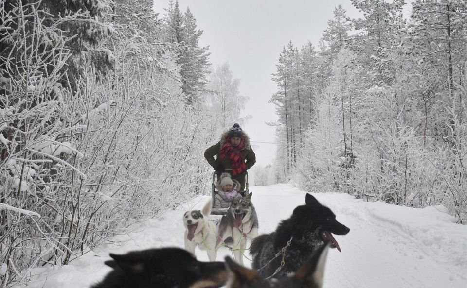 Rovaniemi: Husky Safari Tour & 6-10 Km Self-Driving Mushing - Overview of the Husky Safari Tour