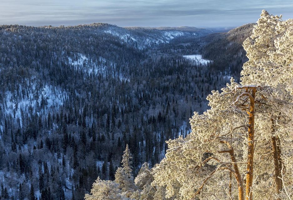 Rovaniemi: Korouoma National Park Canyon & Frozen Waterfalls - Tour Overview