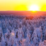 Rovaniemi: Snowmobile Adventure In Lapland Activity Details