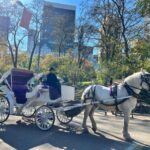 Royal Carriage Ride In Central Park Nyc Overview Of The Royal Carriage Ride