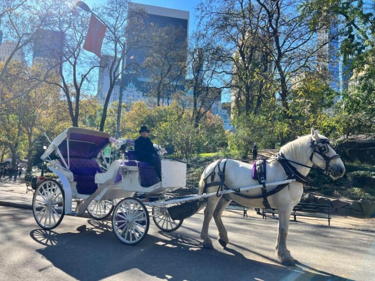 Royal Carriage Ride In Central Park Nyc Overview Of The Royal Carriage Ride