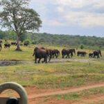 Safari Game Drive In Zambezi National Park Overview Of The Safari Experience