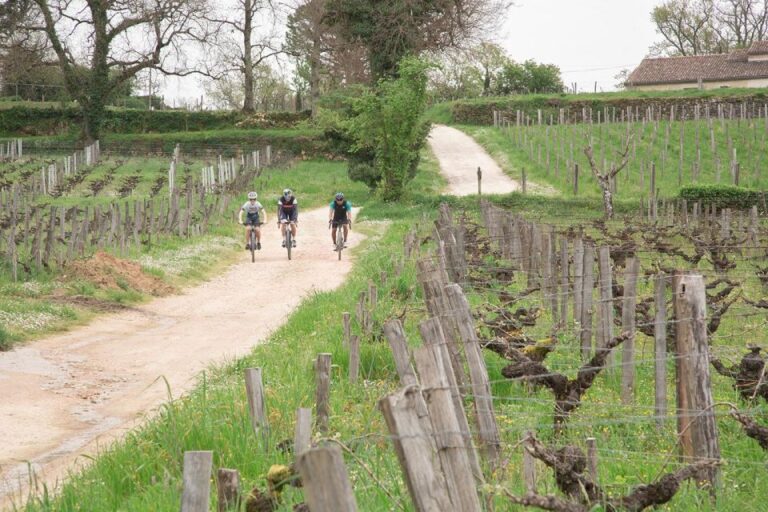 Saint Émilion By Gravel Bike & Wine Tasting Explore Saint Émilion Countryside