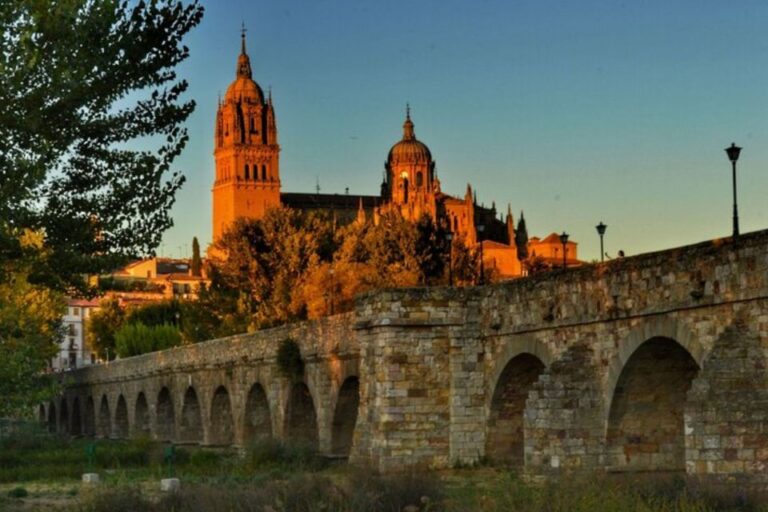 Salamanca: Private Walking Tour With A Local Guide Tour Overview