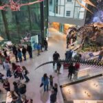 San Antonio: Witte Museum Admission Ticket Admission Details And Pricing