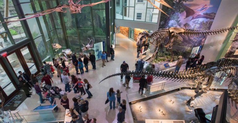 San Antonio: Witte Museum Admission Ticket Admission Details And Pricing