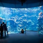 San Francisco: California Academy Of Sciences Entry Ticket Ticket Details And Pricing