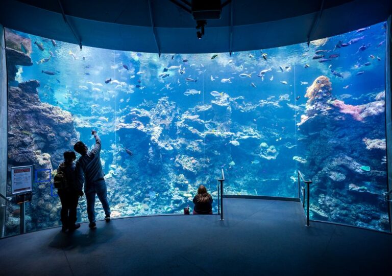 San Francisco: California Academy Of Sciences Entry Ticket Ticket Details And Pricing