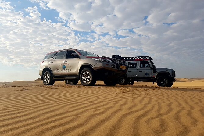 Sandwich Harbour 4x4 Half Day Experience With Beach Braai Overview Of The Experience