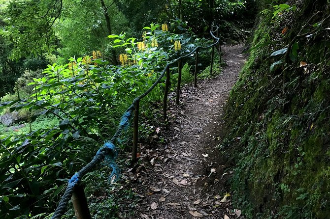 Sanguinho Hike From Ponta Delgada - Overview of the Tour