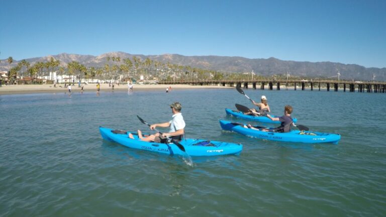 Santa Barbara: 1.5 Hour Harbor Kayak Tour Experience Highlights