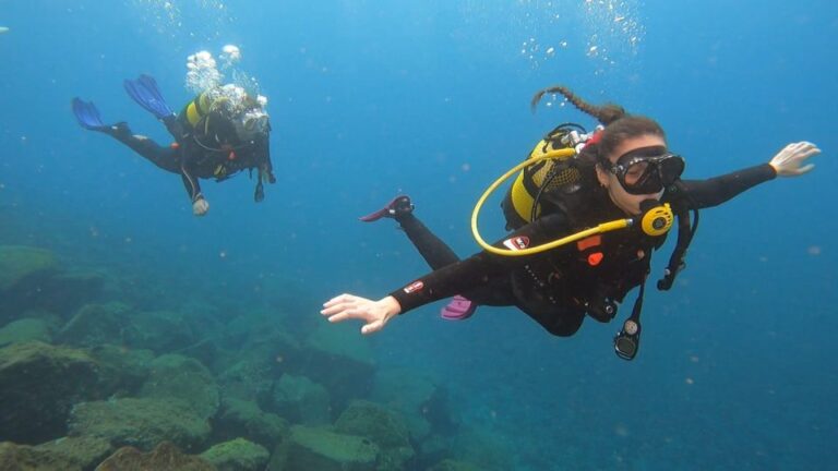 Santa Cruz De Tenerife: Introductory Diving Course & 2 Dives Course Location And Duration