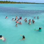 Saona Island From Santo Domingo Transportation And Logistics