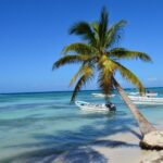 Saona Island Full Day: Natural Pool & Catamaran Cruise With Lunch Catamaran Cruise To Saona Island