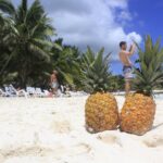 Saona Island Paradise From Punta Cana Overview Of The Tour