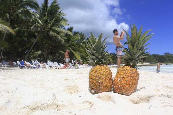 Saona Island Paradise From Punta Cana - Overview of the Tour