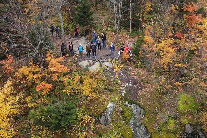 Scenic Hiking Adventure at Mont-Orford National Park - Overview of the Adventure