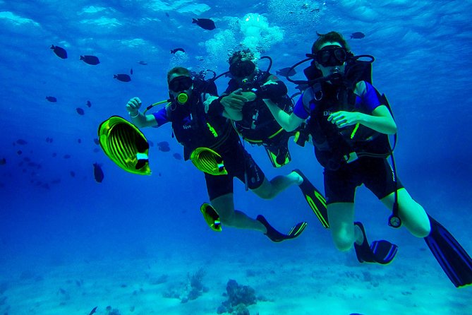 Scuba Diver Scuba World Divers Overview Of Scuba Diving