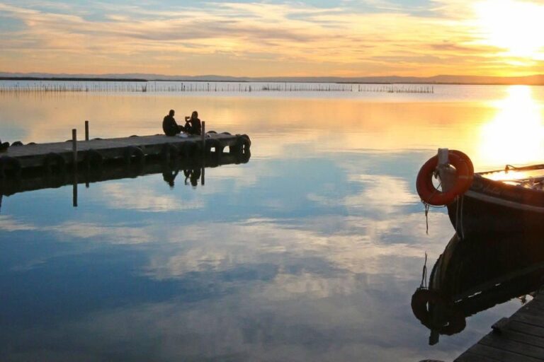 See Albufera Lake +city Of Arts And Sciences On A Bike Tour Tour Overview