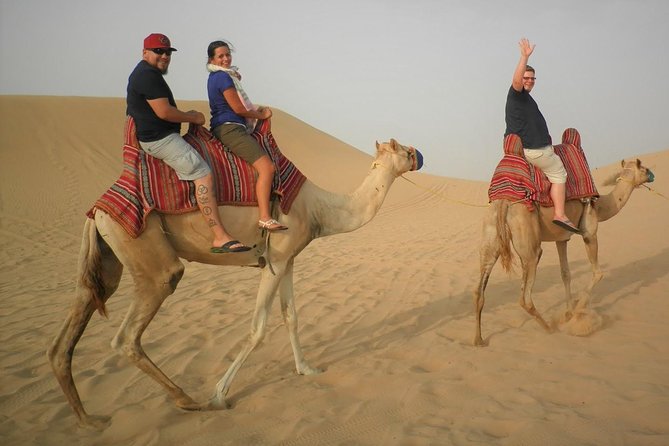 Sharing or Private Safari, Sand Boarding, Camel Ride, Inland Sea Quick Swim - Tour Description