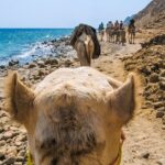 Sharm El Sheikh: Colored Canyon, Blue Hole & Dahab City Tour Tour Overview