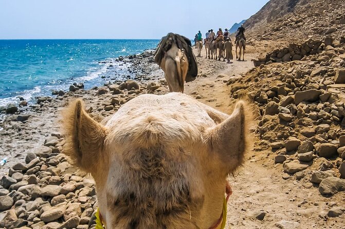 Sharm El Sheikh: Colored Canyon, Blue Hole & Dahab City Tour - Tour Overview