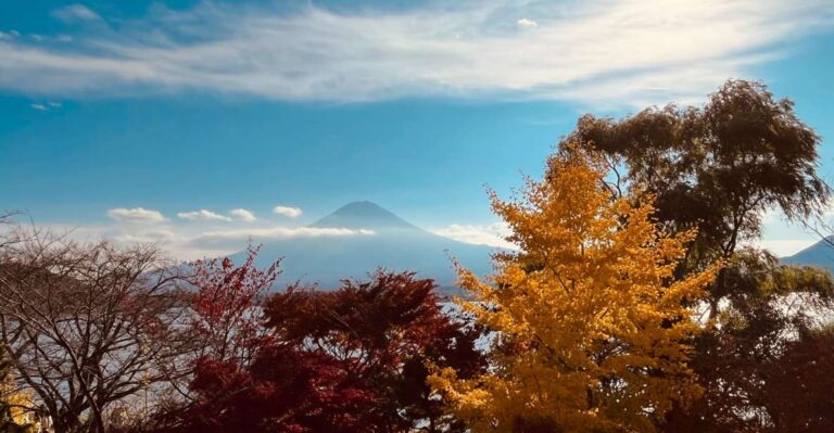 Shinjuku: Mount Fuji Panoramic View And Shopping Day Tour Tour Overview And Pricing