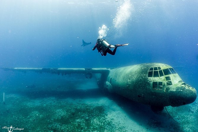 Shore Certified Diving - Two Dives - Overview and Location