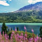 Skagway Shore Excursion: Full Day Tour Of The Yukon Tour Overview