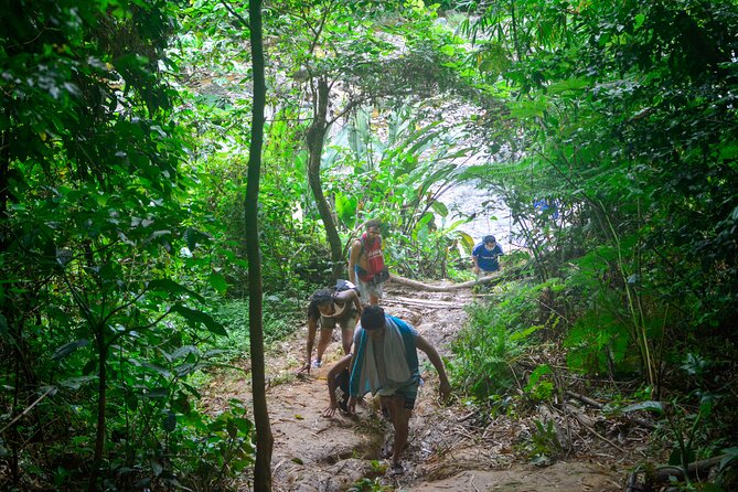 Small-Group El Yunque Rainforest Vivid Day Tour With Transport - Tour Overview