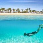 Snorkeling Day Trip In Hurghada Overview Of The Experience