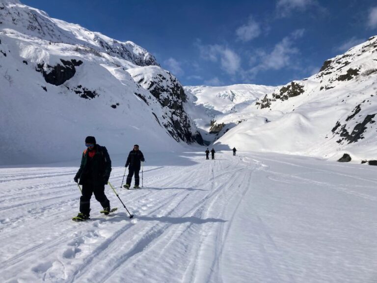 Snowmobile And Snowshoe Dual Adventure From Seward, Ak Overview And Highlights