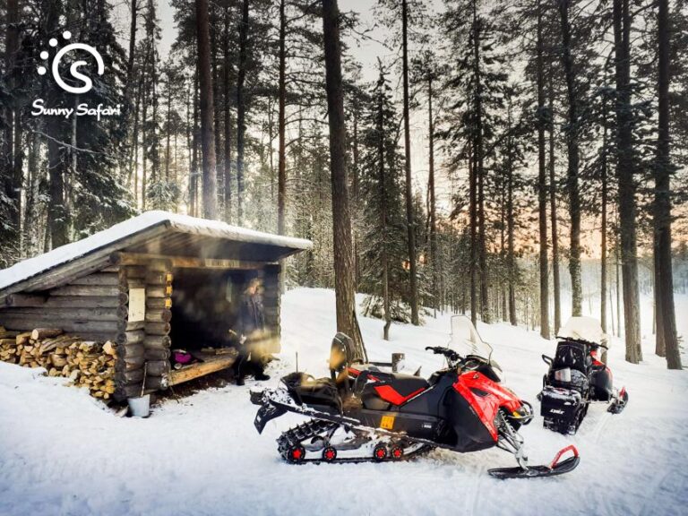 Snowmobile Whole Day Adventure Small Group Tour Overview