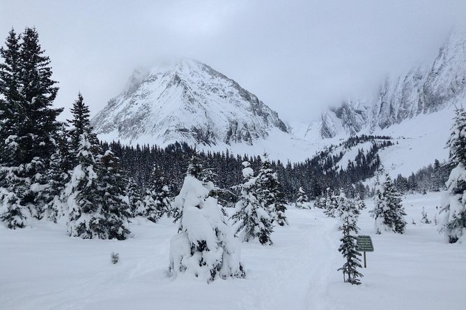 Snowshoe In Kananaskis Country Experience The Canadian Rockies