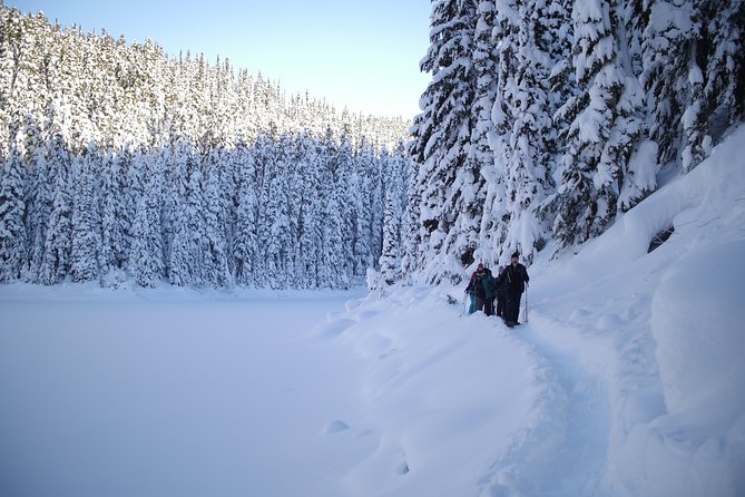 Snowshoe Tours - Tour Details