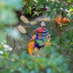 Socoho Half Day Mangrove Kayak & Reef Snorkeling Logistics