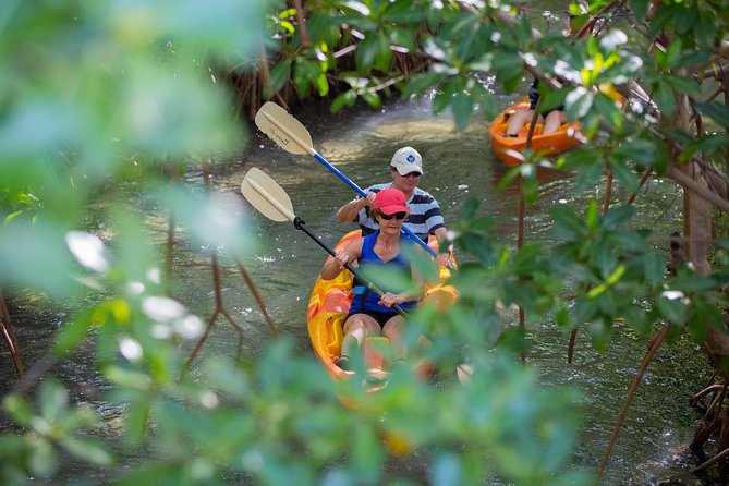 SoCoHo Half Day - Mangrove Kayak & Reef Snorkeling - Logistics